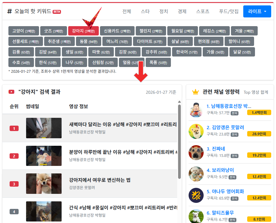 인플루언서 이슈 현황
